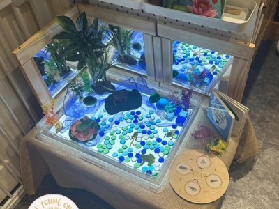 Magical Mirrors: Enhancing Play and Learning Through&nbsp;Reflection