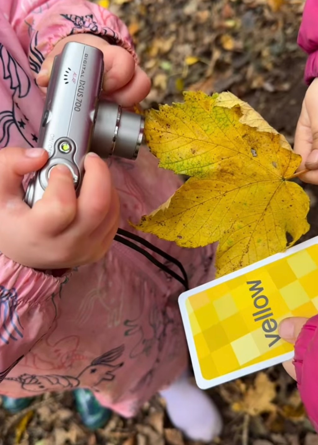 What Did They Learn? 