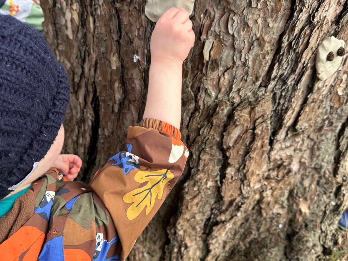 Simple Forest School Activities for Little&nbsp;Explorers