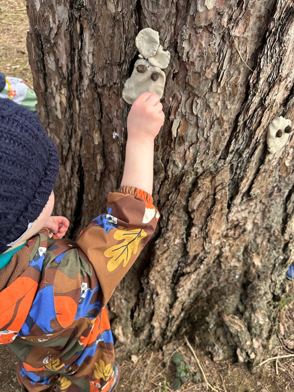 Simple Forest School Activities for Little&nbsp;Explorers
