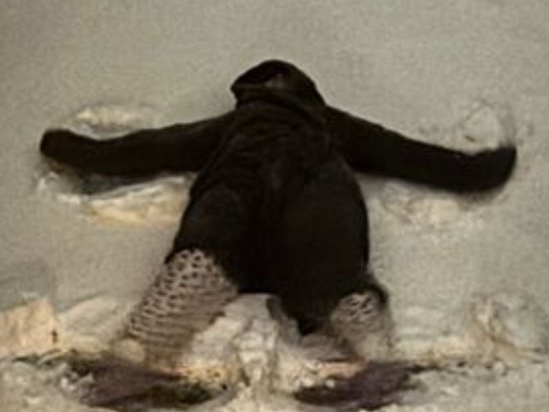 Top Tips for Outdoor Learning in&nbsp;Winter